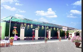 Coco Island Cồn Phụng